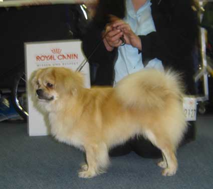 dsc00859a.jpg