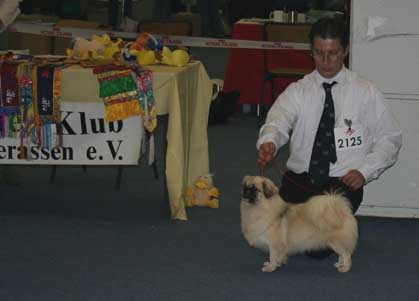 teddydortmund1a.jpg